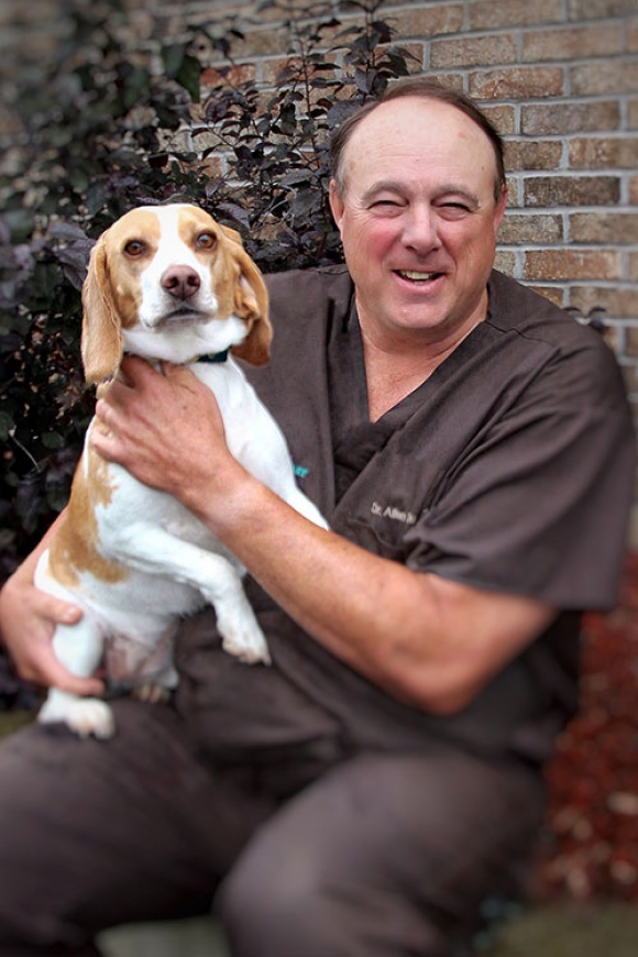 Total Hip Replacement Packerland Veterinary Center