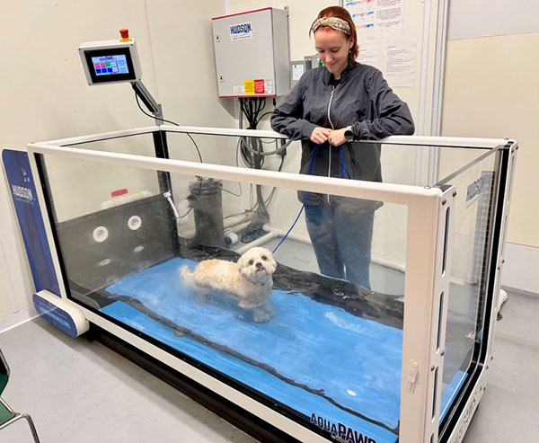 Green Bay Pet Underwater Treadmill Therapy