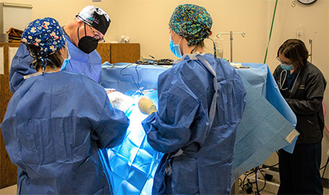Advanced Surgical Services